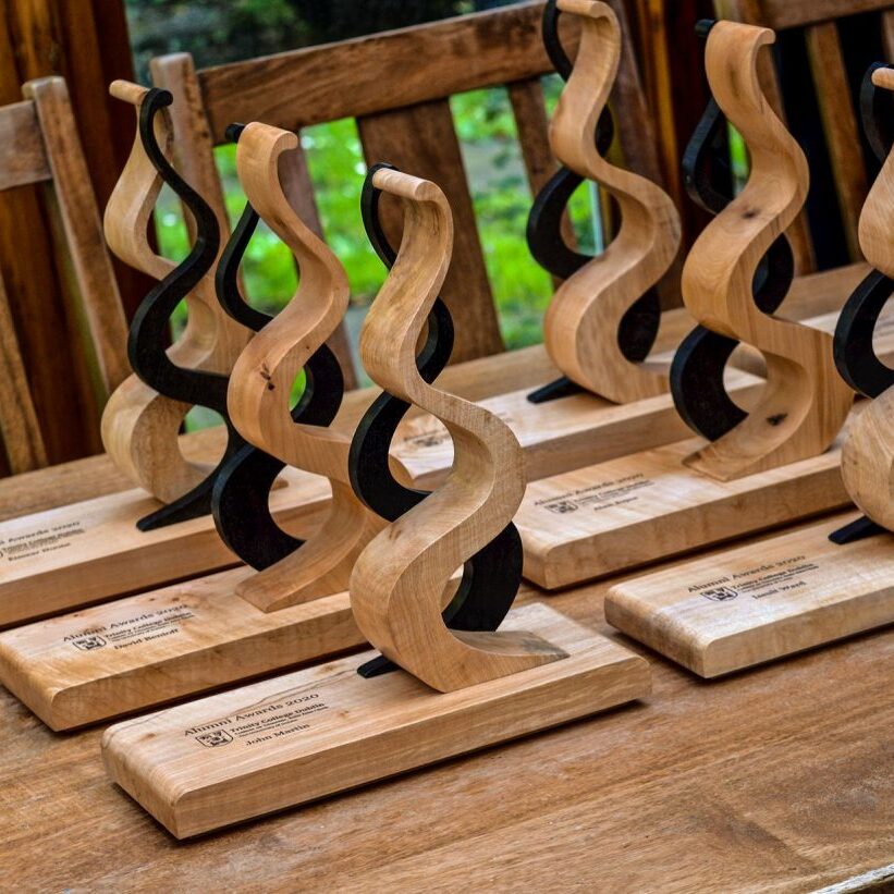 Trinity College Dublin Alumni Awards -Custom made awards handmade from Irish wood by Magill Woodcraft Ireland.