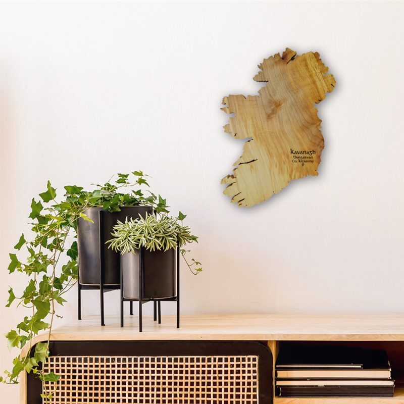 lose up Personalised wooden map of Ireland on a wall abover a wooden desk with black plant pots of top.