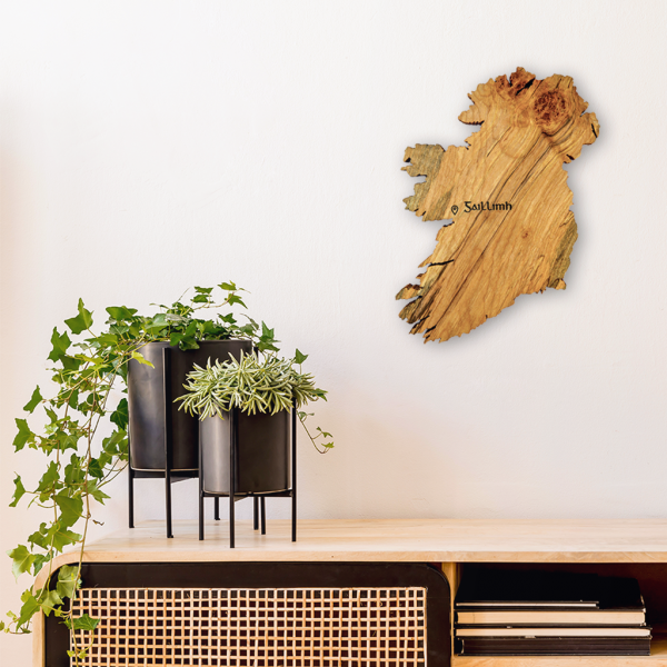 Personalised wooden map of Ireland wall art on interior wall beside 2 black plant pots that sit on a wooden desk.